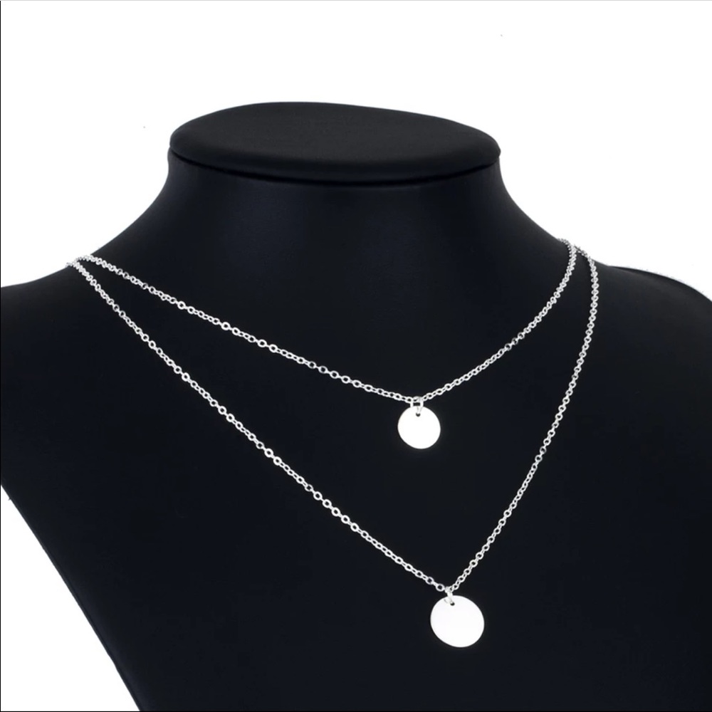 Double Layer Silver Disc Necklace - Picture 3 of 5